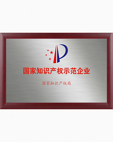 国家知识产权示范企业