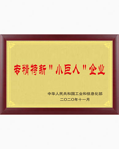 专精特新小巨人